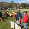 Ball fields